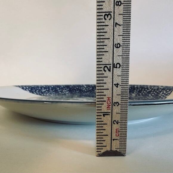 Thomson Snowman, Dinner Plates set of 4, Blue Speckles, Snowman/Center - Picture 9 of 12